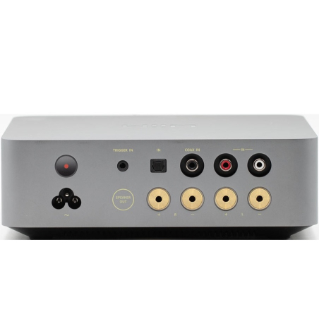 Amplis stéréo hifi - WiiM - WiiM VibeLink Amp Silver