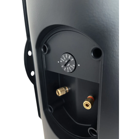 Enceintes murales extérieur - Elipson - RAIN 8 100V BLACK (LA PAIRE)