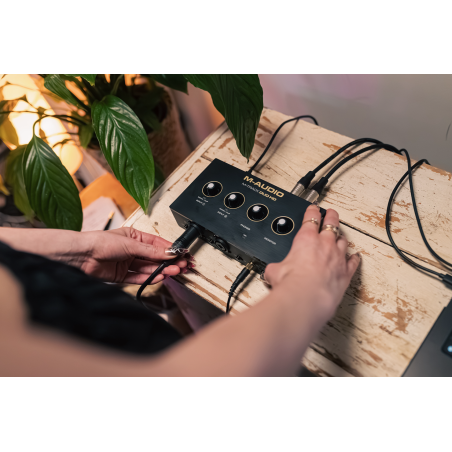 Cartes son - M-Audio - M-TRACK DUO HD