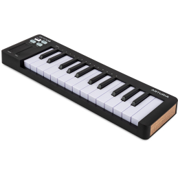 	Claviers maitres compacts - Arturia - MicroLab mk3 - BLACK
