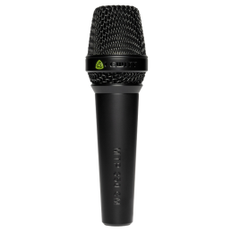 Micros chant - Lewitt - MTP 350 CMS