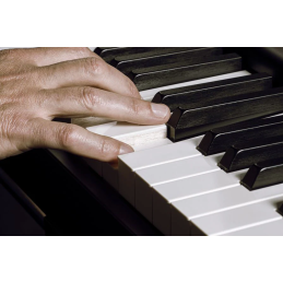 	Claviers de scène - Yamaha - YC88