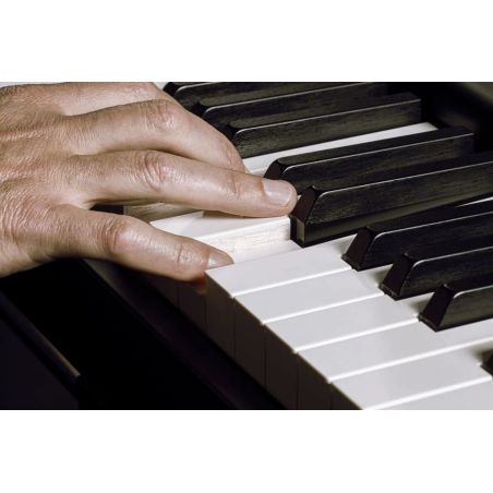 Claviers de scène - Yamaha - YC88