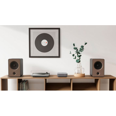 Lecteurs audio réseaux - WiiM - WiiM Amp Silver