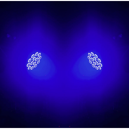 	Projecteurs PAR LED - J.Collyns - STAGEPAR 14x15W QUAD