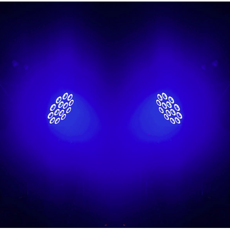 Projecteurs PAR LED - J.Collyns - STAGEPAR 14x15W QUAD