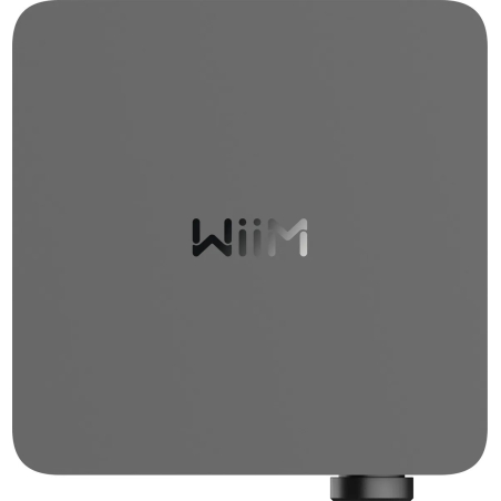 Amplis stéréo hifi - WiiM - WiiM Amp Ultra Space Grey