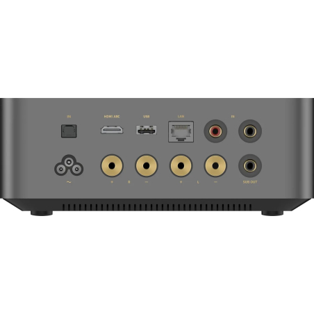 Amplis stéréo hifi - WiiM - WiiM Amp Ultra Space Grey