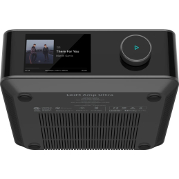 	Lecteurs audio réseaux - WiiM - WiiM Amp Ultra Silver