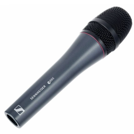 Micros chant - Sennheiser - e865