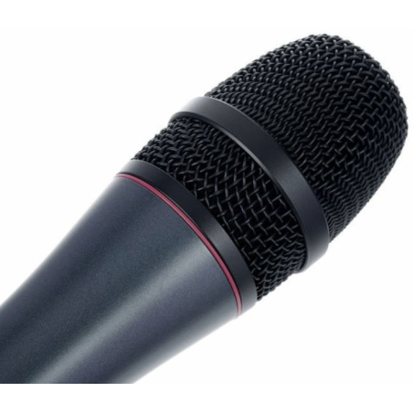 Micros chant - Sennheiser - e865