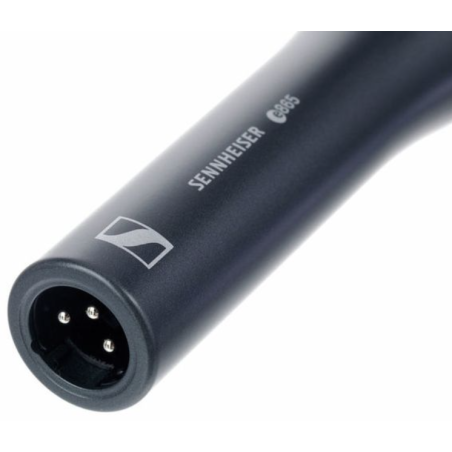 Micros chant - Sennheiser - e865