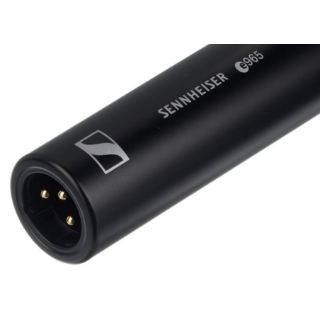 Micros chant - Sennheiser - e965
