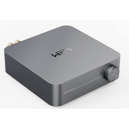 Lecteurs audio réseaux - WiiM - WiiM Amp  Space Gray