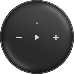 	Lecteurs audio réseaux - WiiM - WiiM Mini