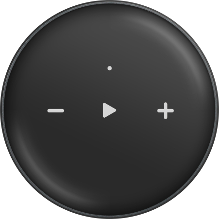 Lecteurs audio réseaux - WiiM - WiiM Mini