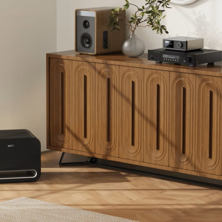 Enceintes connectées - WiiM - WiiM Sub Pro Black
