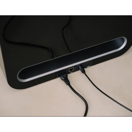 	Enceintes connectées - WiiM - WiiM Sub Pro Black