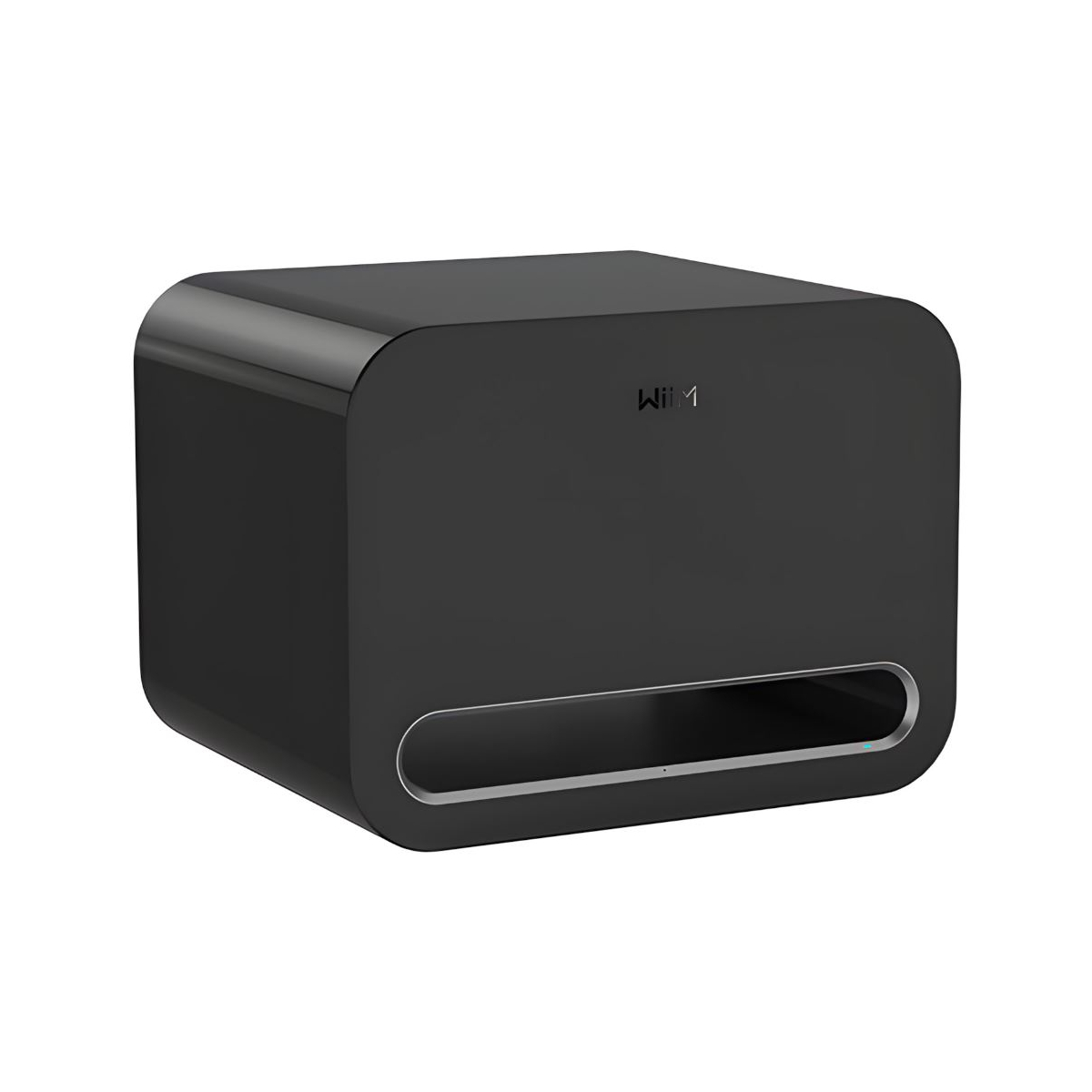 Enceintes connectées - WiiM - WiiM Sub Pro Black