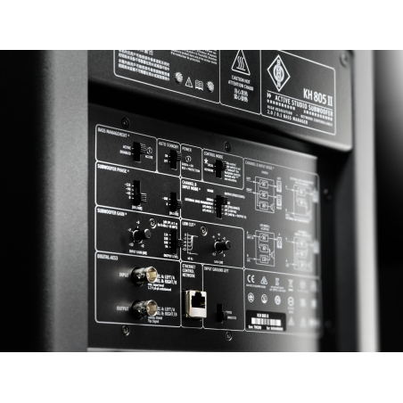 Caissons de basse monitoring - Neumann - KH 805 II