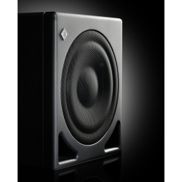 	Caissons de basse monitoring - Neumann - KH 805 II