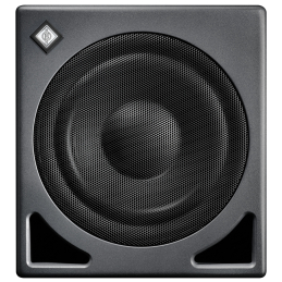 	Caissons de basse monitoring - Neumann - KH 810 II