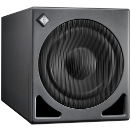 Caissons de basse monitoring - Neumann - KH 810 II