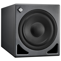 Caissons de basse monitoring - Neumann - KH 810 II AES67
