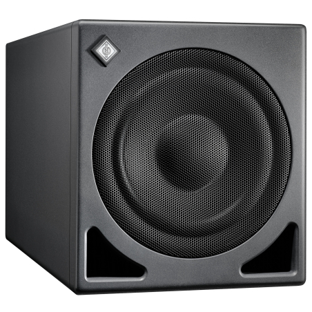 Caissons de basse monitoring - Neumann - KH 810 II AES67