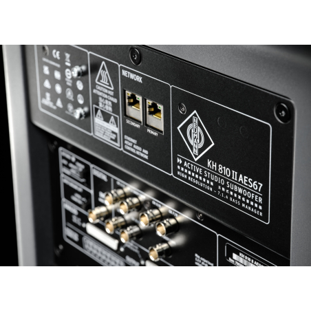 Caissons de basse monitoring - Neumann - KH 810 II AES67