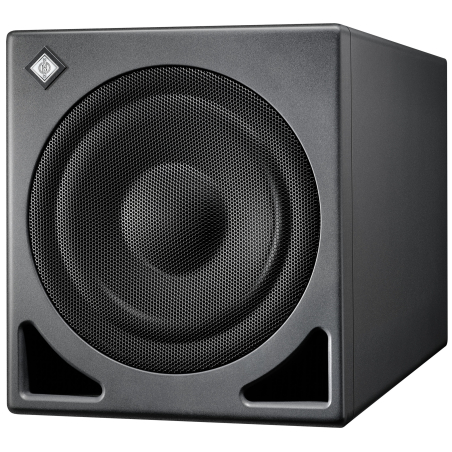 Caissons de basse monitoring - Neumann - KH 810 II AES67