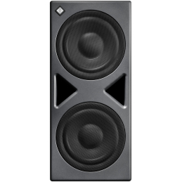 	Caissons de basse monitoring - Neumann - KH 870 II