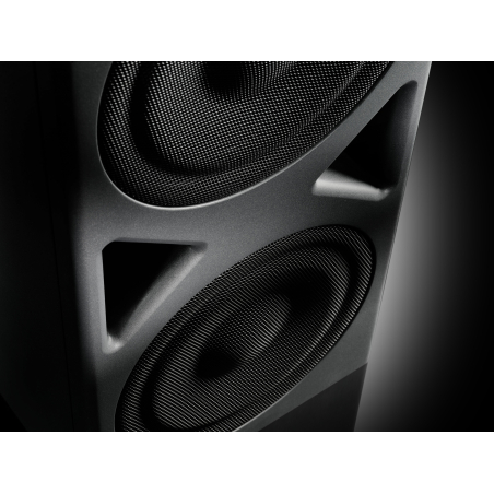 Caissons de basse monitoring - Neumann - KH 870 II