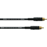 CPDS1CC (1m)