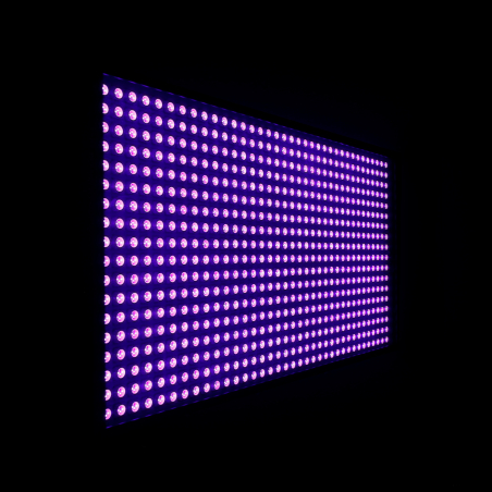 Lumières noires - Cameo - THUNDER WASH 600 UV
