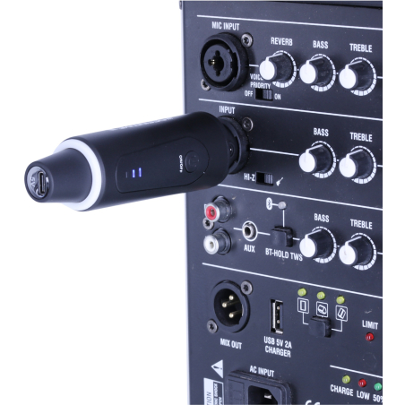 Transmetteurs sans fil - Definitive Audio - PLUG 210R 2.4G