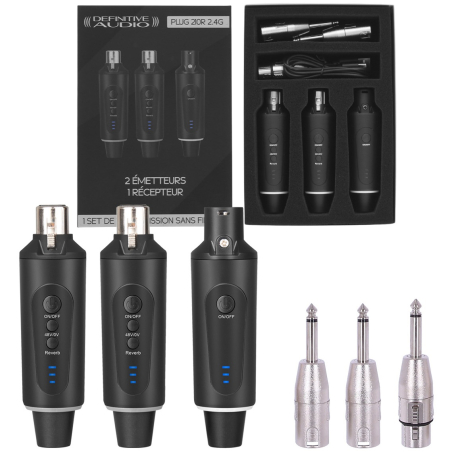 Transmetteurs sans fil - Definitive Audio - PLUG 210R 2.4G