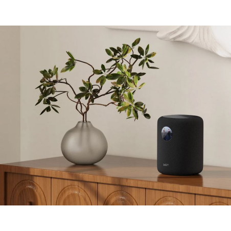 Enceintes connectées - WiiM - Sound Display (Black)