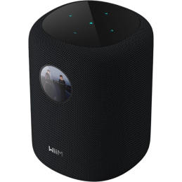 	Enceintes connectées - WiiM - Sound Display (Black)