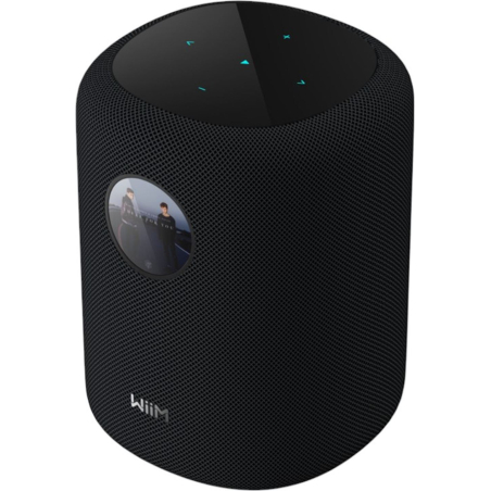 Enceintes connectées - WiiM - Sound Display (Black)