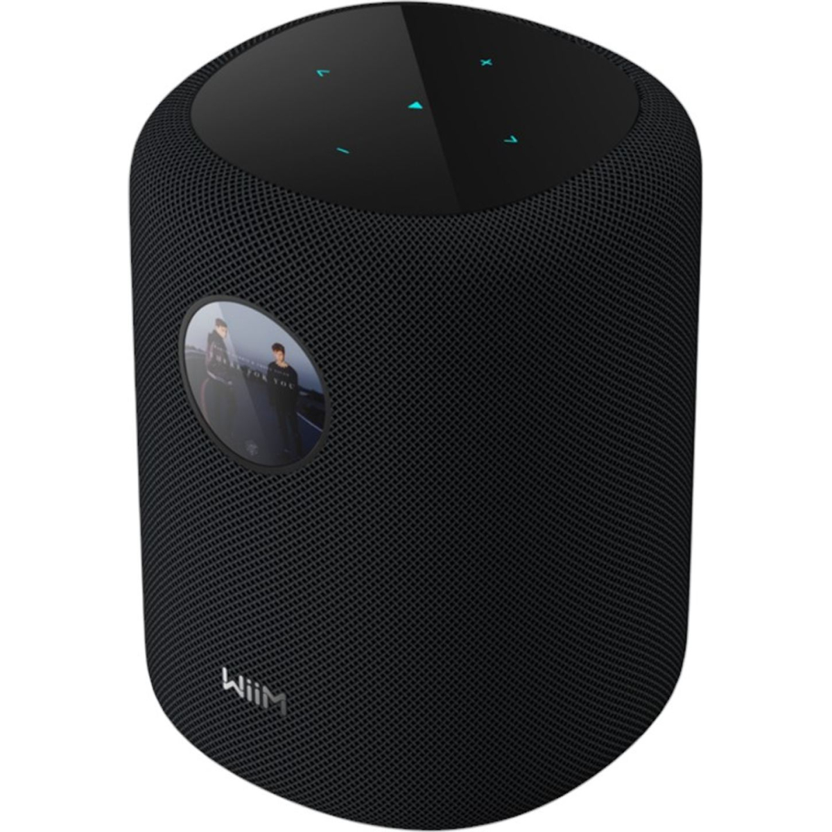 Enceintes connectées - WiiM - Sound Display (Black)