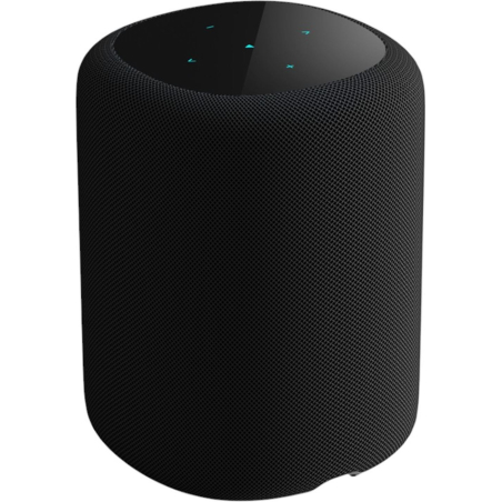 Enceintes connectées - WiiM - Sound Display (Black)