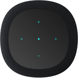 	Enceintes connectées - WiiM - Sound Display (Black)