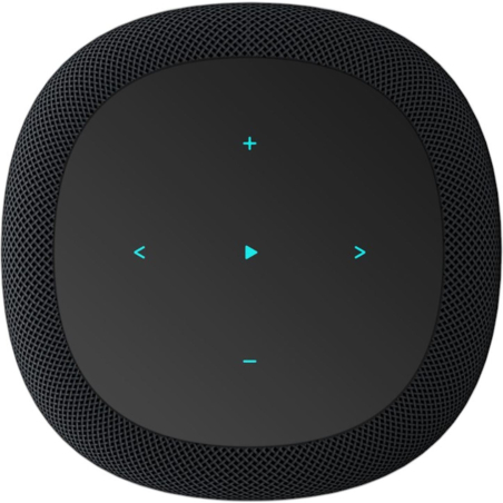 Enceintes connectées - WiiM - Sound Display (Black)