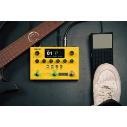 	Accueil - NUX - Dual Loop Stereo