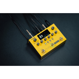 	Accueil - NUX - Dual Loop Stereo