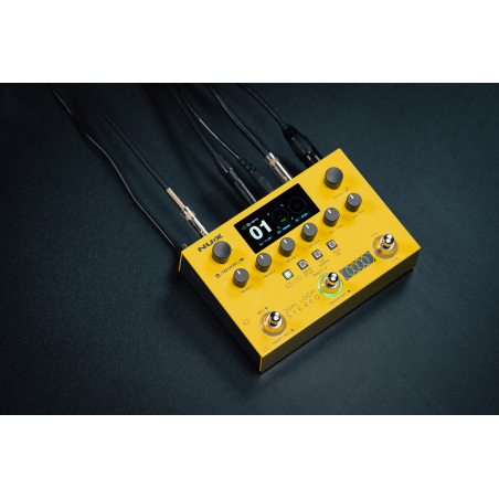 Accueil - NUX - Dual Loop Stereo
