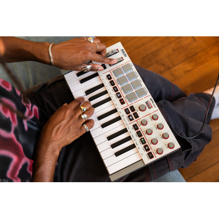 Claviers maitres compacts - Akai Professional - MPK Mini IV Grey