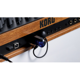 	Câbles MIDI - Korg - BM-1