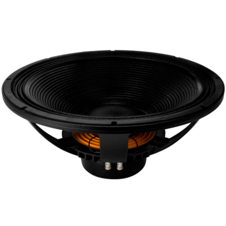 Hauts parleurs basse fréquence - B&C Speakers - 18 NW 100